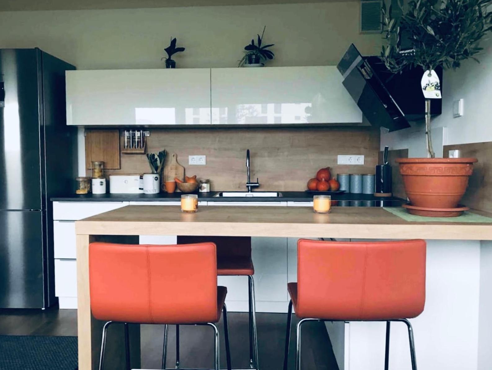 Bright New 43m2 With A Beautiful Garden Apartment *