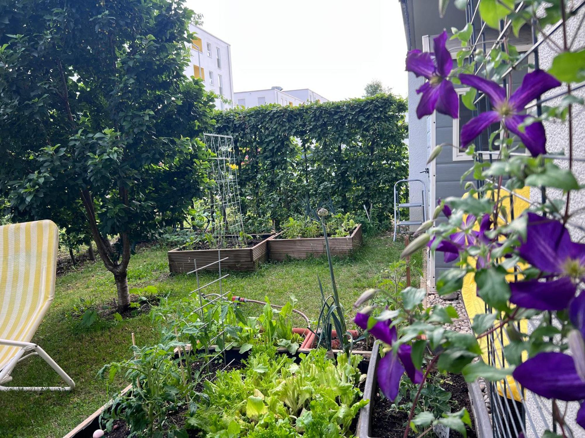 Bright New 43m2 With A Beautiful Garden Appartement *